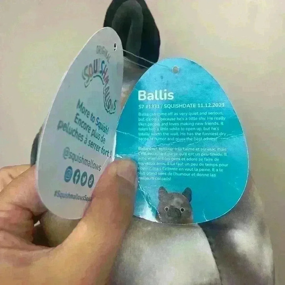 6 inch Ballis squishmallow dog - Picture 5 of 5